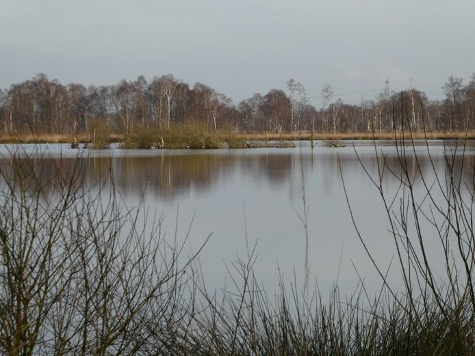 Foto ter illustratie.