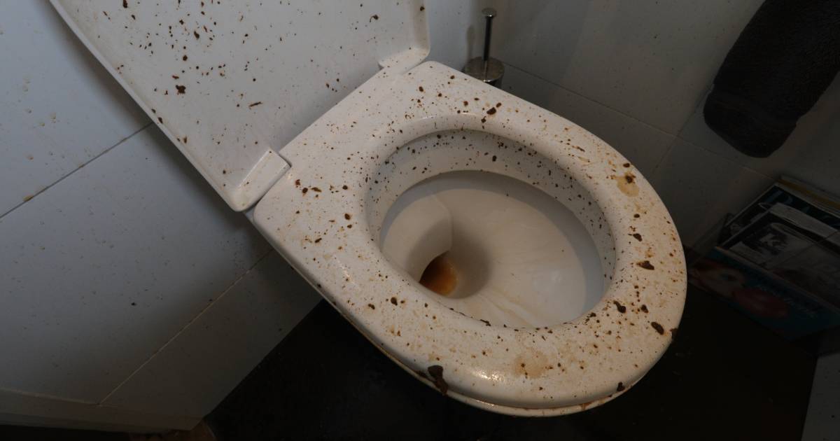 poep spuit uit toilet terwijl vrouw 18 erop zit eindhoven ad nl