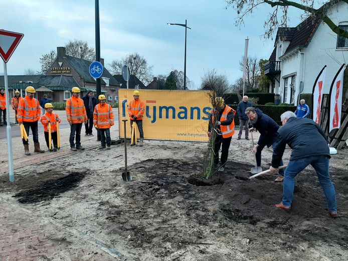 Gedeputeerde Christophe van der Maat (2e van rechts) en de Millse wethouder Jos van den Boogaart plantten begin december samen een boom langs de heringerichte N264 in Sint Hubert.