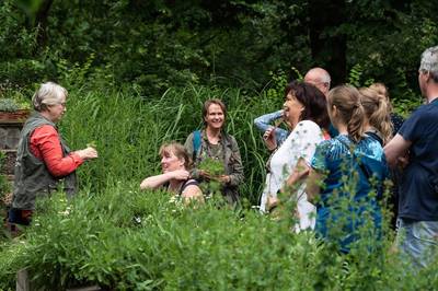 Kennismaken met de planten in de Peel