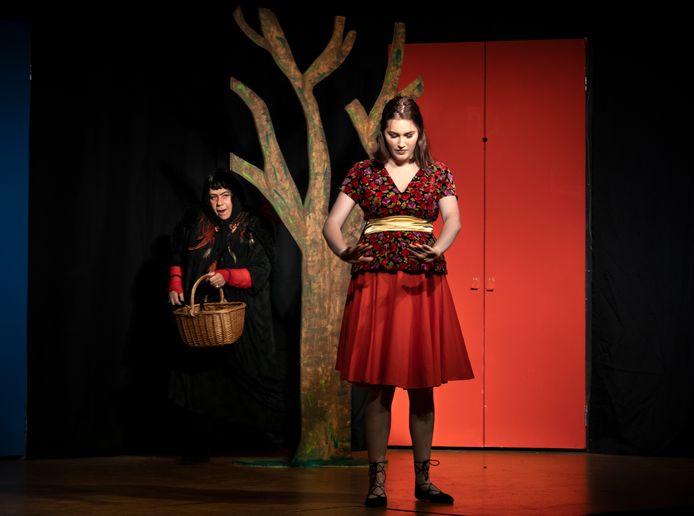 De Deurnese theatergroep Wizzel speelt Doornroosje.
