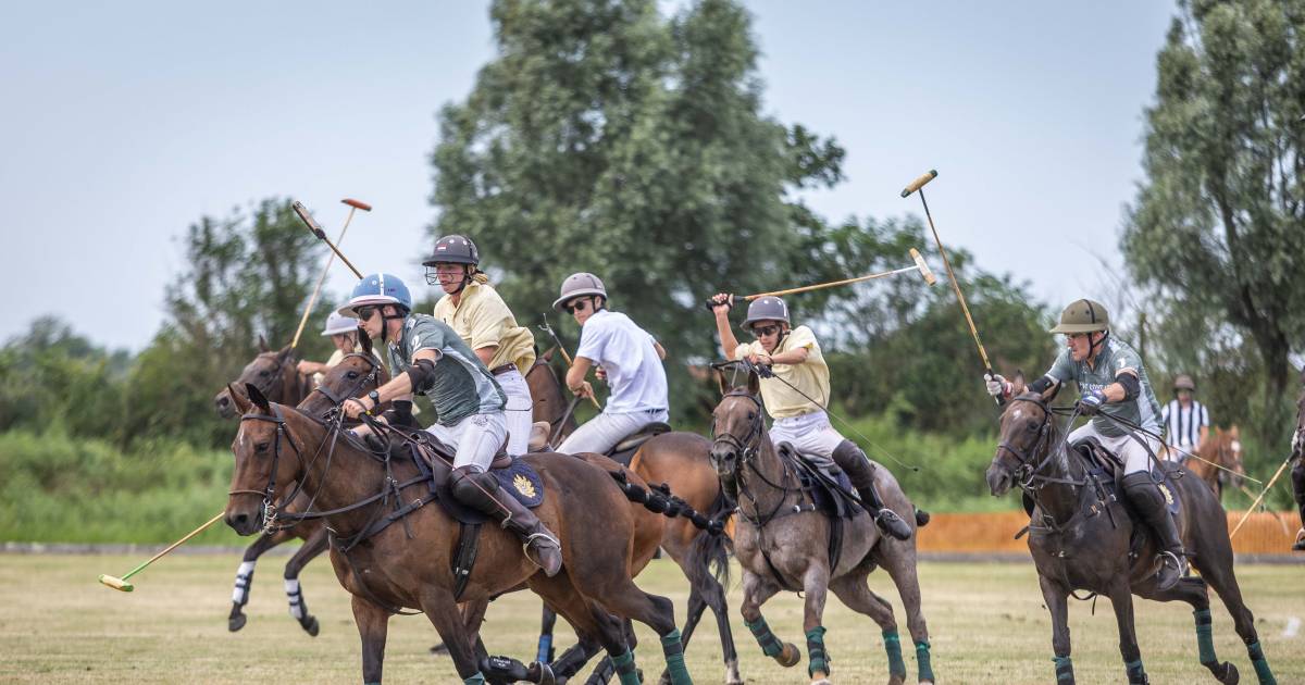 Polo in de polder zorgt voor een machtig gezicht: ‘Je krijgt wel een adrenalinekick’