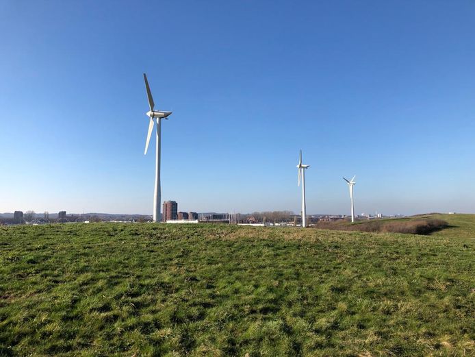 De Haarlemse windmolens
