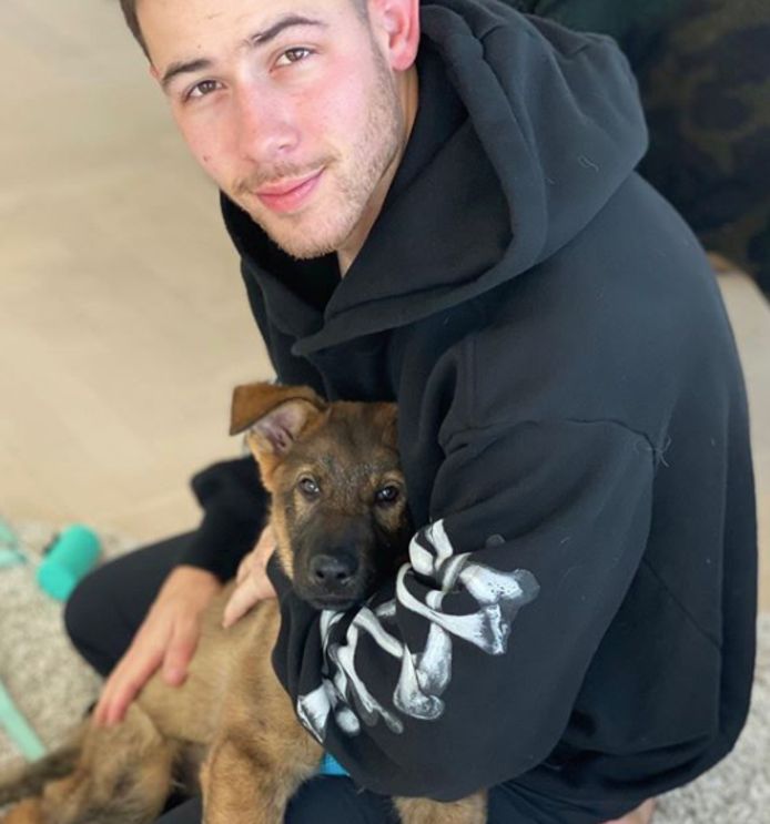 Nick Jonas kreeg een puppy cadeau.