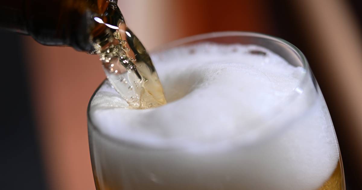 Бельгийцы выпили больше пива в 2021 году, но по-прежнему пьют меньше, чем до пандемии коронавируса |  Новости