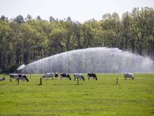 Milieuorganisatie herkent zorgwekkende bevindingen over staat natuur: ‘Provincies moeten aan de slag’