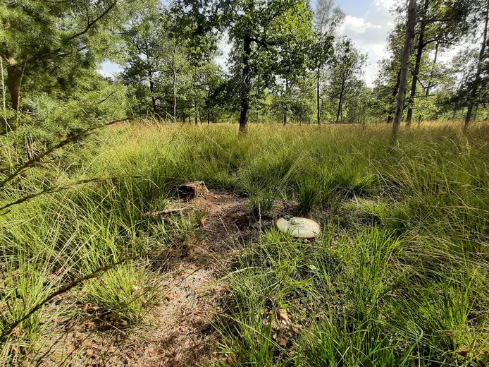 Een bestaande natuurbegraafplaats elders in Nederland.