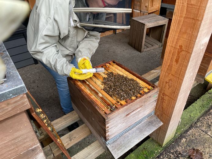 Annet behandelt haar bijentros met oxaalzuur, daar gaan varroamijten dood van.