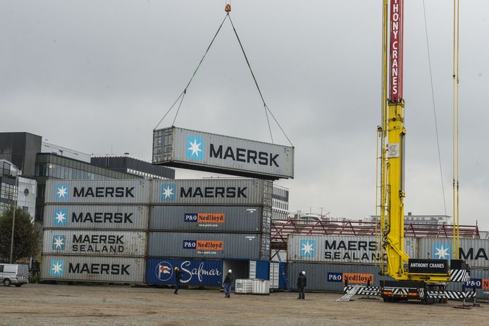 werper Achtervolging Interactie Containers 'Cordon' palmen Scheldekaaien in | Antwerpen | hln.be