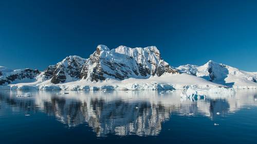 90 miljoen jaar geleden was er regenwoud op Antarctica: waarom het vandaag zover niet meer mag komen
