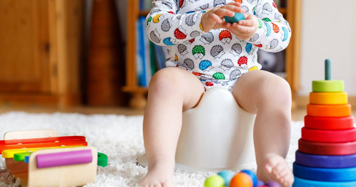 Heeft Zindelijkheidstraining Zin Plassen En Poepen Lijkt Een Instinct Maar Baby S Moeten Dat Leren Gezin Ad Nl