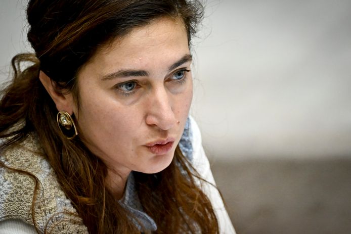 Vlaams minister van Omgeving Zuhal Demir (N-VA).