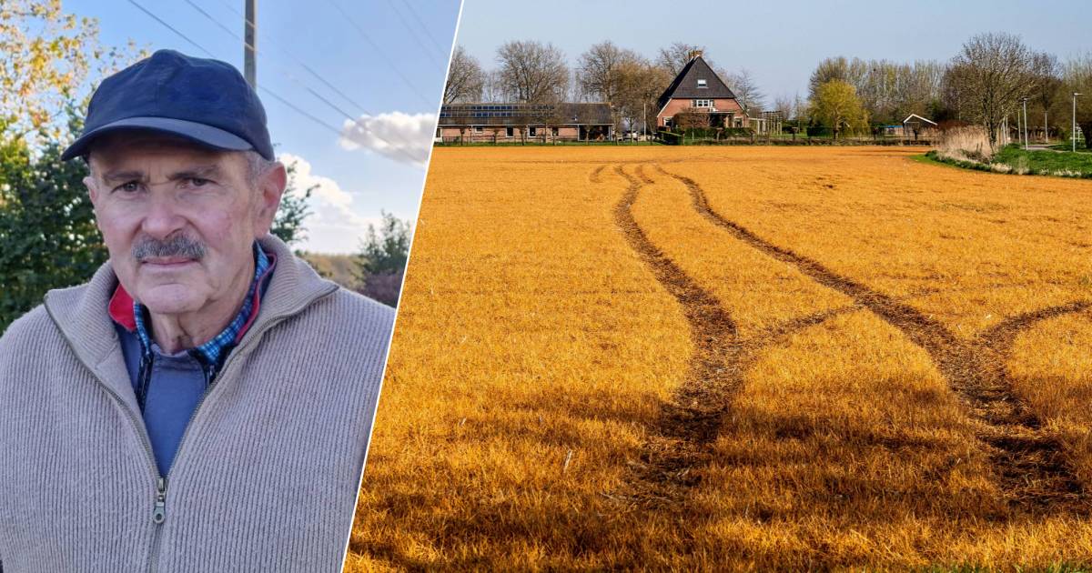 Franse boer Daniel kreeg Parkinson van landbouwgif dat Europa wil verbieden: ‘Ik tril de hele dag’