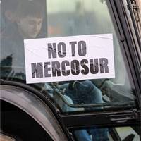 Argentijns rundsvlees, druk op Trump en kansen voor Europese export: zo kijkt Paul De Grauwe naar Mercosur-akkoord