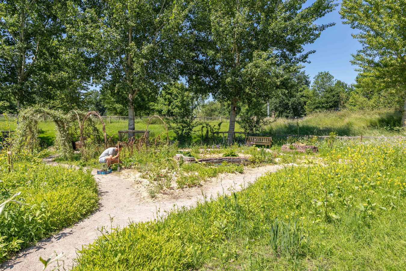 Zwolle krijgt in Park de Wezenlanden