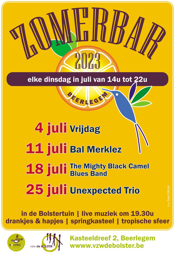 Zomerbar in vzw De Bolster Zwalm hln.be