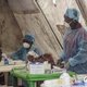 Meer samenwerking tegen ebola in West-Afrika