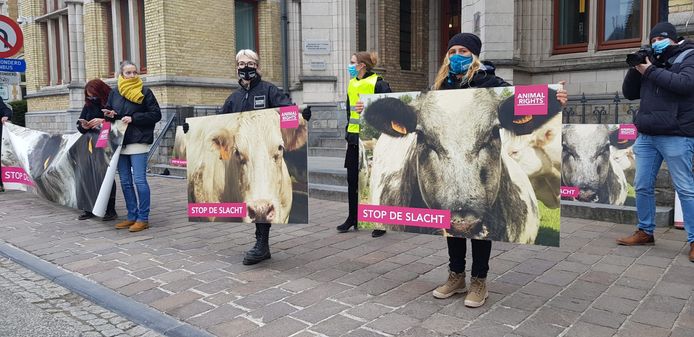 Animal Rights voerde deze ochtend opnieuw actie aan de rechtbank van Ieper.