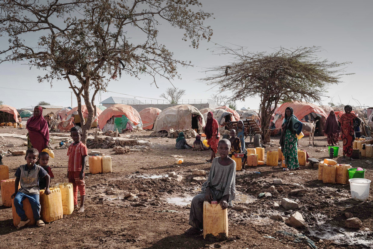 Somalië is geregeld het toneel van voedselcrises. Bij de stad Baidoa zochten families vorig jaar hun toevlucht in kampen om aan een extreme droogte te ontvluchten. Zo’n 7 miljoen Somaliërs, bijna de helft van de bevolking, liep op dat moment risico getroffen te worden door een hongersnood.