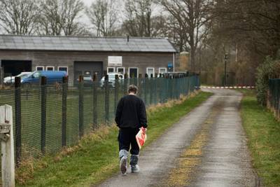 6000 kippen geruimd in Eefde vanwege vogelgriep, die nu ook Achterhoek heeft bereikt