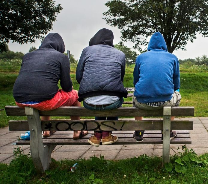 Foto ter illustratie.