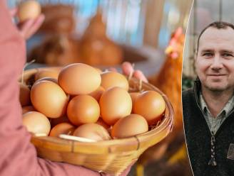Eieren steeds duurder. Is het voordeliger om zélf kippen te houden? “Per volwassene bespaar je ieder jaar al 100 euro uit aan afval” 