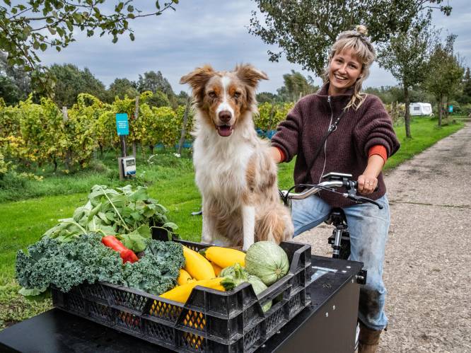 Anna (32) zegt kantoorbaan op om boer te worden in Twello: ‘Minder geld en zekerheid, gelukkiger dan ooit’