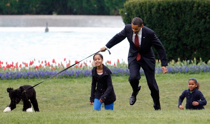 President Barack Obama wordt bijna omver getrokken door de zes maanden oude Bo tijdens het voorstellen van het nieuwe gezinslid met zijn dochters Malia en Natasha aan de media, in april 2009.