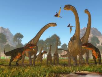 Dinosporen suggereren dat grootste landdieren ooit handstand deden: nieuwe studie werpt ander licht