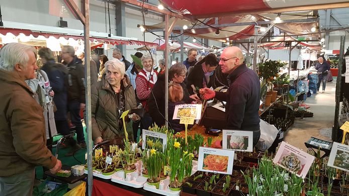 Bloemetjes voor de tuin