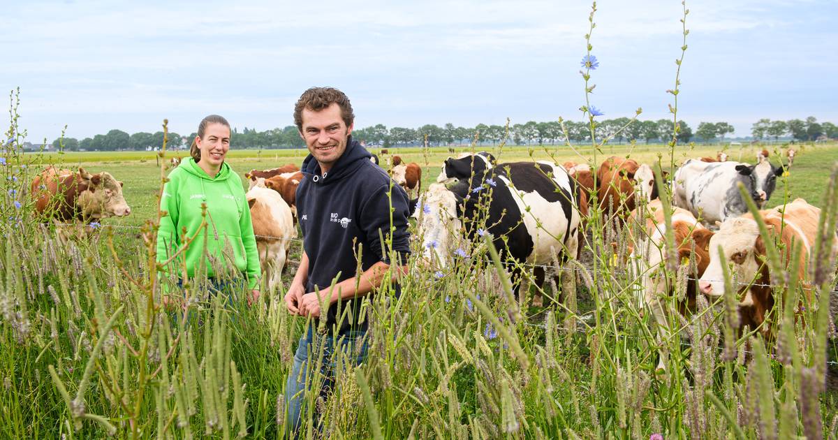 Boerenpaar laat zien hoe het óók kan: 'Wij volgen de natuur' - Eindhovens Dagblad