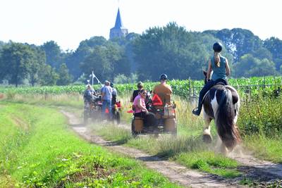 Herboren Wouwse menvereniging maakt sprong vooruit: ‘Dit is nog maar het begin’