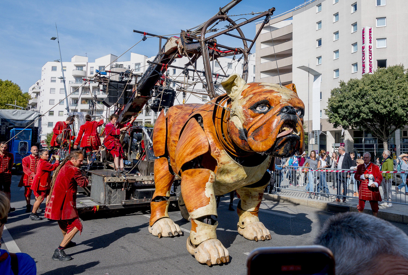 Komst van bekende reuzen voer voor speculatie: houdt Royal de Luxe deze