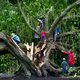 'Amsterdammers hoeven niet angstig naar bomen te kijken'