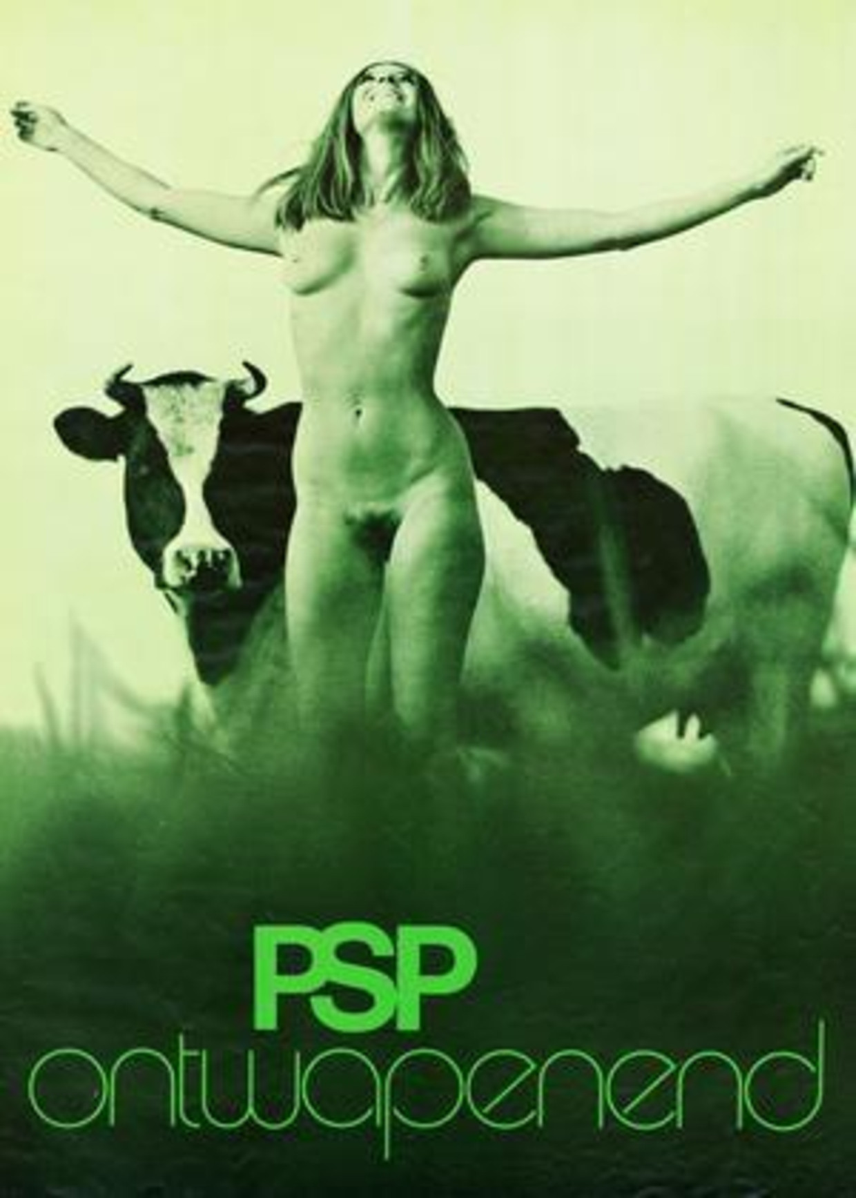Affiche van PSP Beeld  