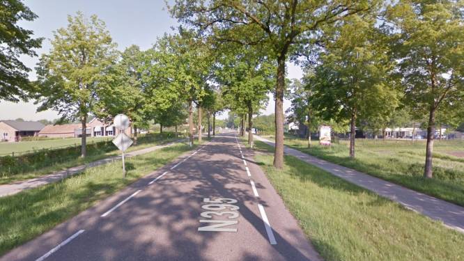 Extra geld voor natuur in Hilvarenbeek, tegenstanders staken de strijd tegen bomenkap voor N395