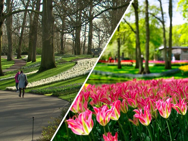 Keukenhof weer geopend: zo ziet de bloemententoonstelling er dit jaar uit