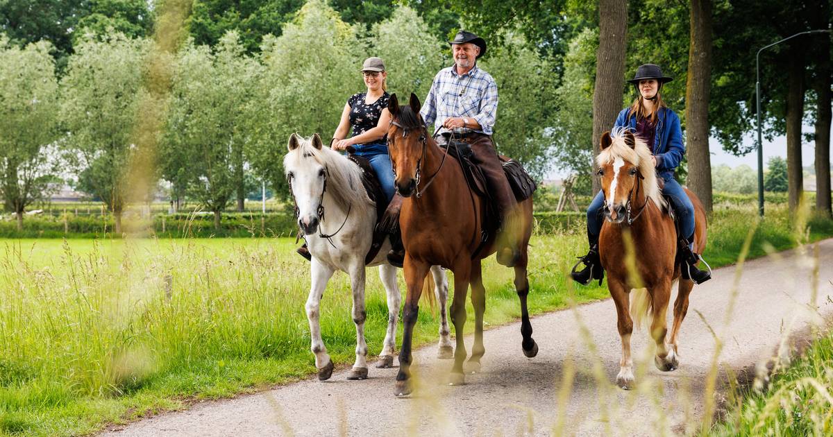Te paard op bedevaart vanuit Biezenmortel naar Santiago: ‘Kleren wassen we wel ergens in de rivier’