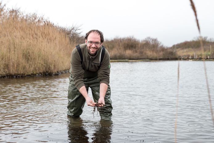 Boswachter Piet van Loon op de plek waar deze zomer het onderwaterbos in de Grevelingen moet verrijzen.