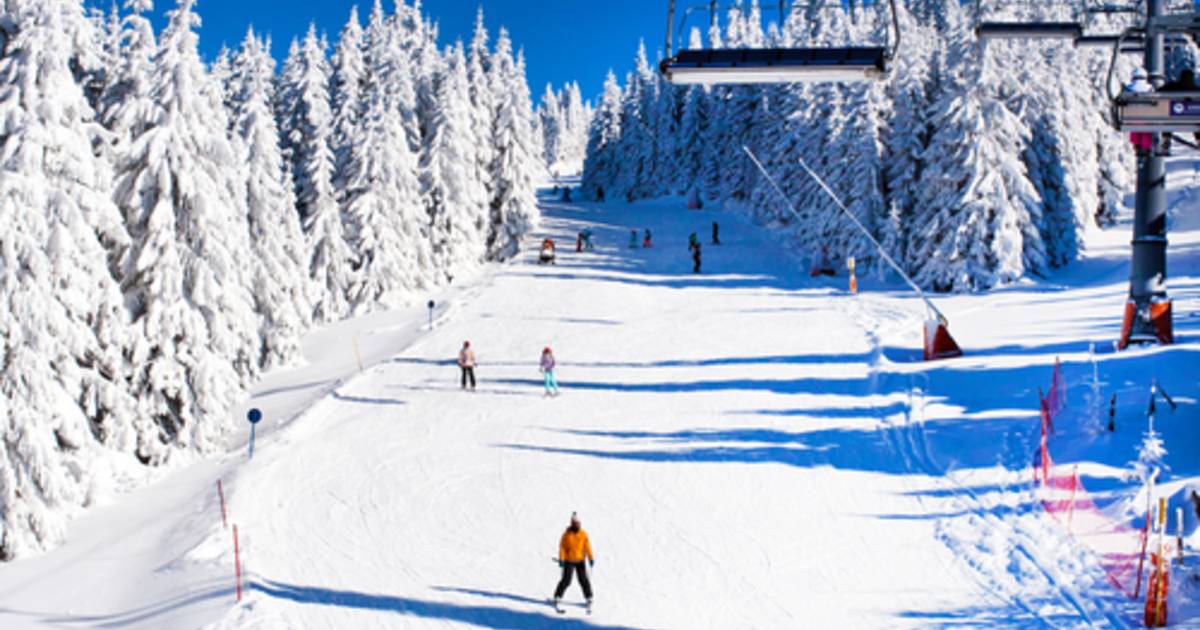 A 14-year-old girl dies after crashing into a tree while skiing in Tyrol |  outside
