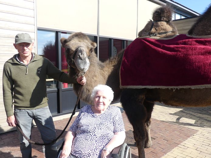 Alma Verzele en Geert Sergeant met zijn kameel Kim.