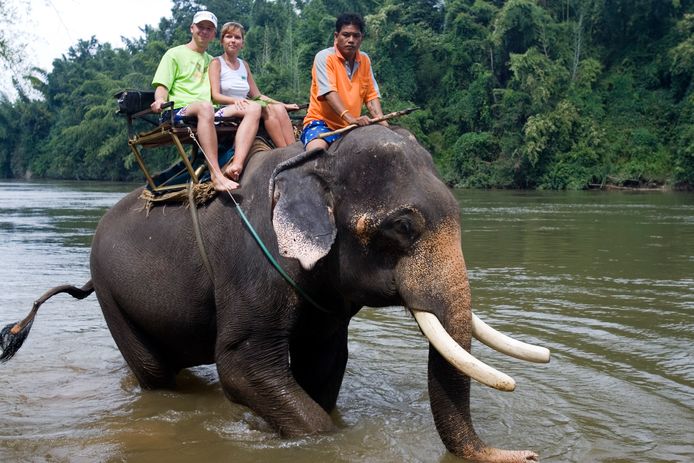 Toeristen bezoeken het olifantenkamp bij het Thaise Kanchanaburi.