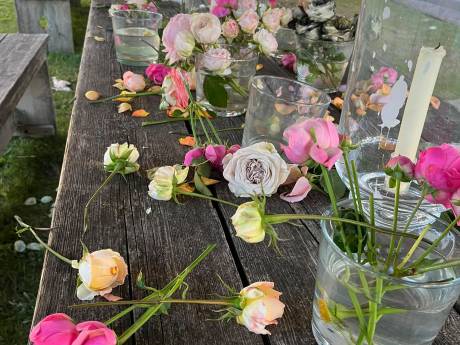 Vernielde rozen zorgen voor flinke kater van perfect verlopen Preuvement Gendringen: 'Zo verdrietig’