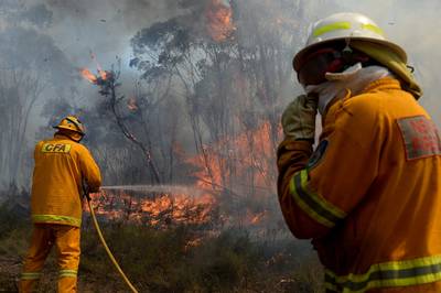 Onderzoek toont aan dat rook van bosbranden ozonlaag schaadt