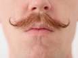 Le mois de novembre est celui des moustachus