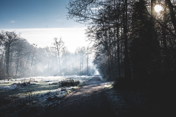 Het Leen in Eeklo op een winterochtend.