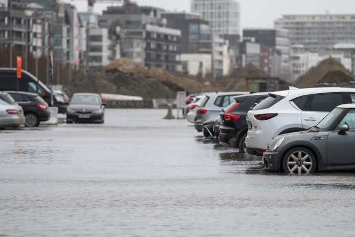 De eigenaars van deze auto's mogen van geluk spreken: het Scheldewater kwam niet hoger dan de onderkant van de banden.