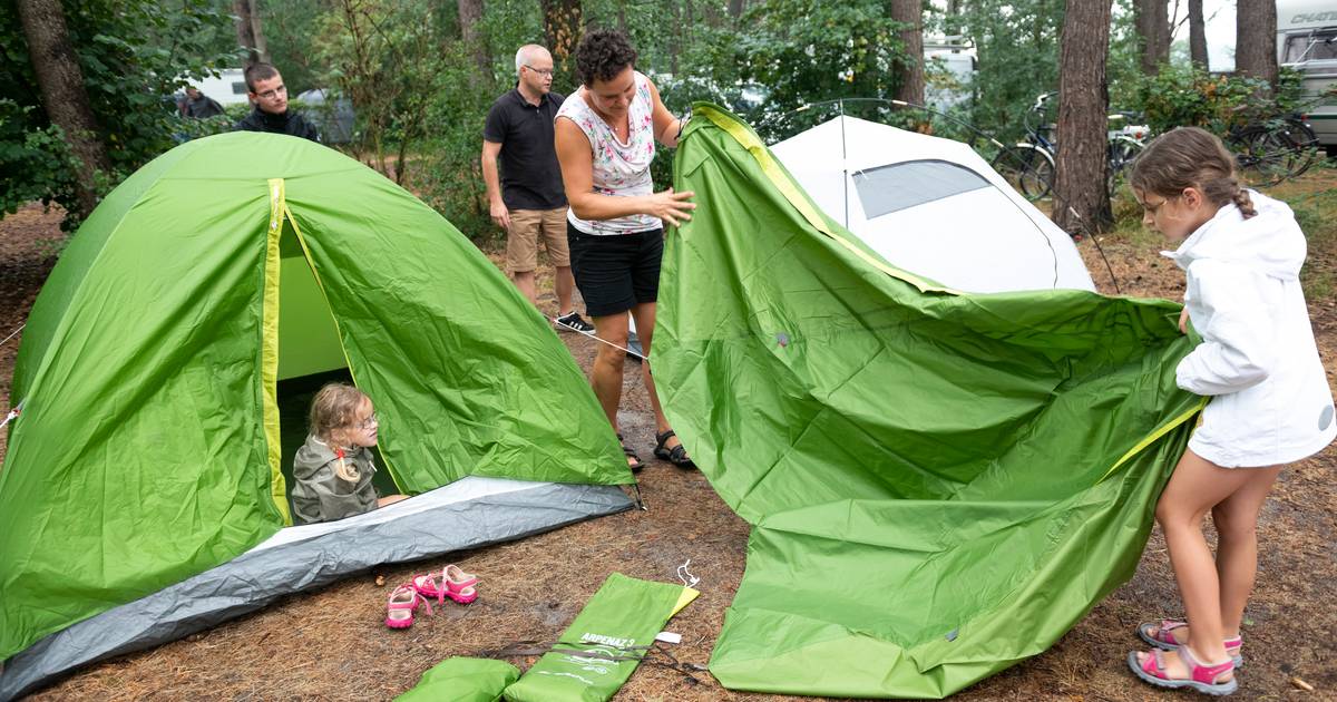 Popupcamping met animatie, BBQ en film op dijk in Zandvliet
