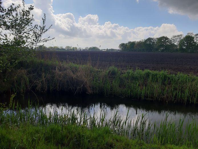 Het akkerland naast het Bels Lijntje en de waterzuivering in Riel moet een zonnepark worden.