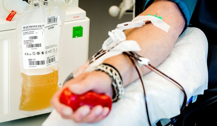 Bloedbank Sanquin hoopt in Arnhem 3.200 nieuwe donoren voor bloed en plasma te kunnen verwelkomen. Foto ter illustratie.